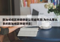 新加坡成区块链创业公司避风港[为什么那么多的新加坡区块链项目]