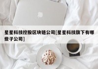 星星科技控股区块链公司[星星科技旗下有哪些子公司]